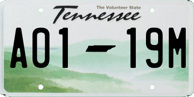 TN license plate A0119M