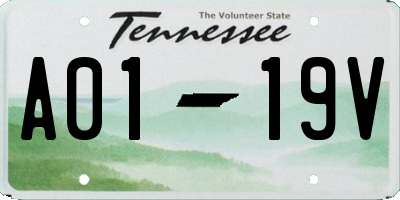 TN license plate A0119V