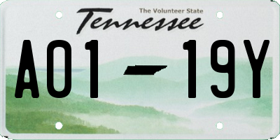TN license plate A0119Y