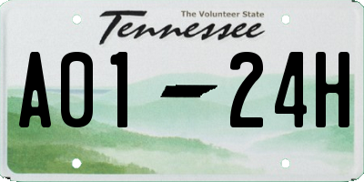 TN license plate A0124H