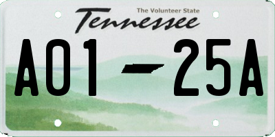 TN license plate A0125A