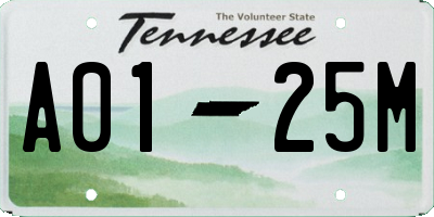 TN license plate A0125M