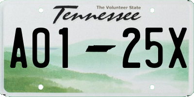 TN license plate A0125X