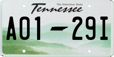 TN license plate A0129I