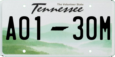 TN license plate A0130M