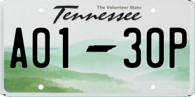 TN license plate A0130P