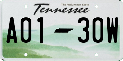 TN license plate A0130W