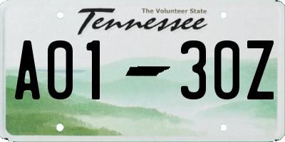TN license plate A0130Z