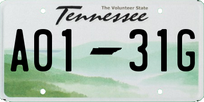TN license plate A0131G