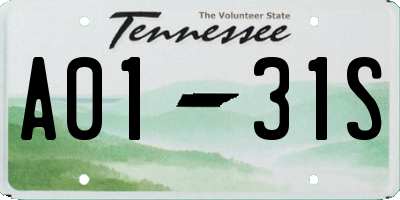 TN license plate A0131S