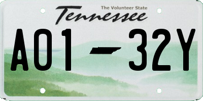 TN license plate A0132Y