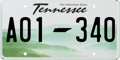 TN license plate A0134O