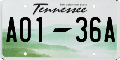 TN license plate A0136A
