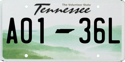 TN license plate A0136L