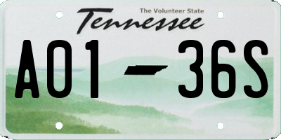 TN license plate A0136S
