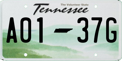 TN license plate A0137G