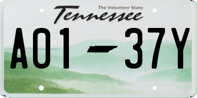 TN license plate A0137Y
