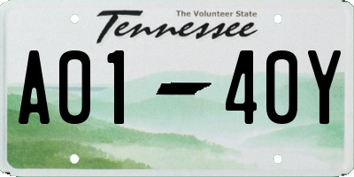 TN license plate A0140Y