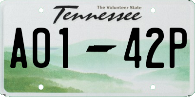 TN license plate A0142P
