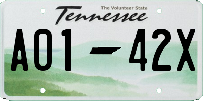TN license plate A0142X