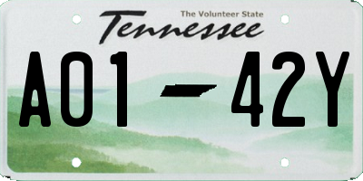 TN license plate A0142Y
