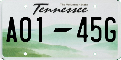 TN license plate A0145G