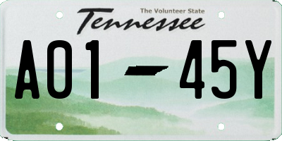 TN license plate A0145Y
