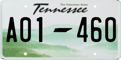 TN license plate A0146O