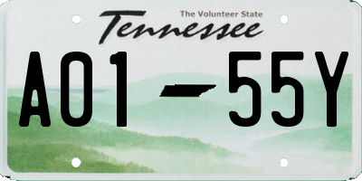 TN license plate A0155Y