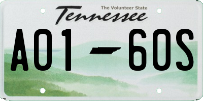 TN license plate A0160S