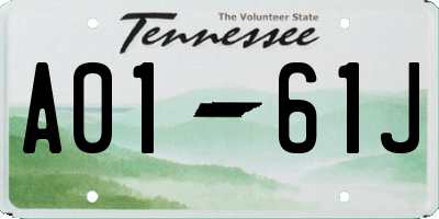 TN license plate A0161J