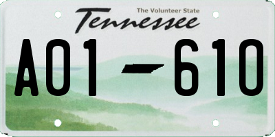 TN license plate A0161O