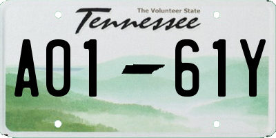 TN license plate A0161Y