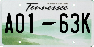 TN license plate A0163K