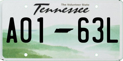 TN license plate A0163L