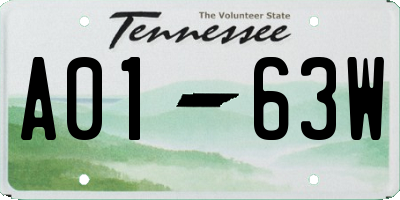 TN license plate A0163W