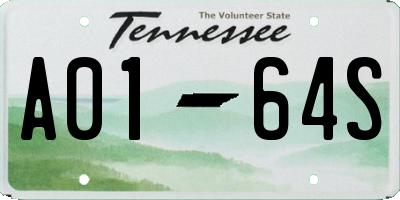 TN license plate A0164S