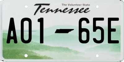 TN license plate A0165E