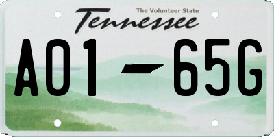 TN license plate A0165G