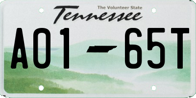 TN license plate A0165T