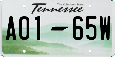TN license plate A0165W