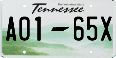 TN license plate A0165X