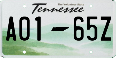 TN license plate A0165Z
