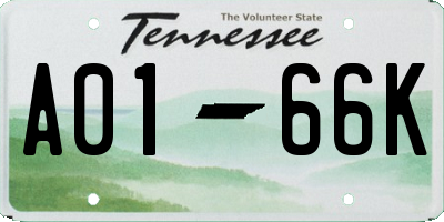 TN license plate A0166K
