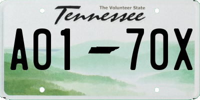 TN license plate A0170X