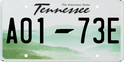 TN license plate A0173E