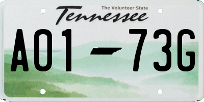 TN license plate A0173G