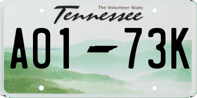 TN license plate A0173K