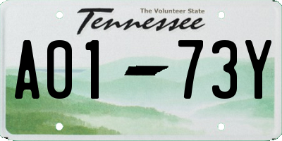 TN license plate A0173Y