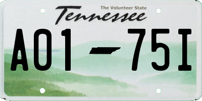 TN license plate A0175I